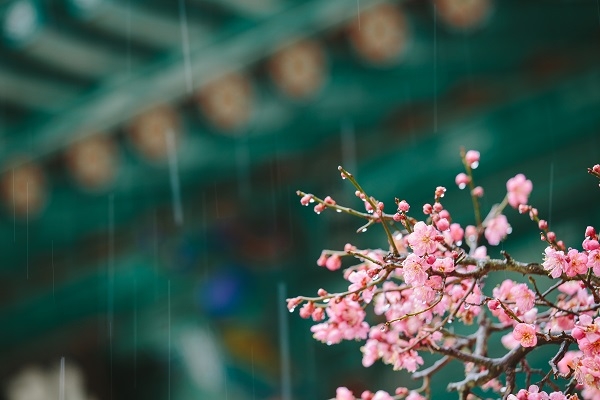 NEM1_20190304