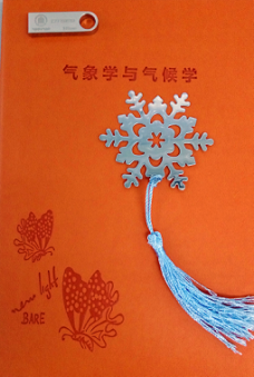 图片13 图片13